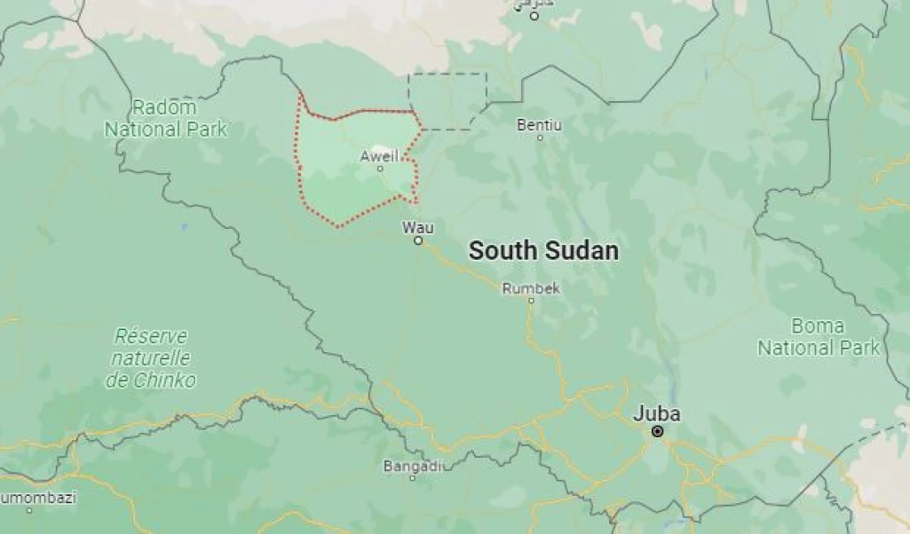 Truck crushes man to death in Aweil