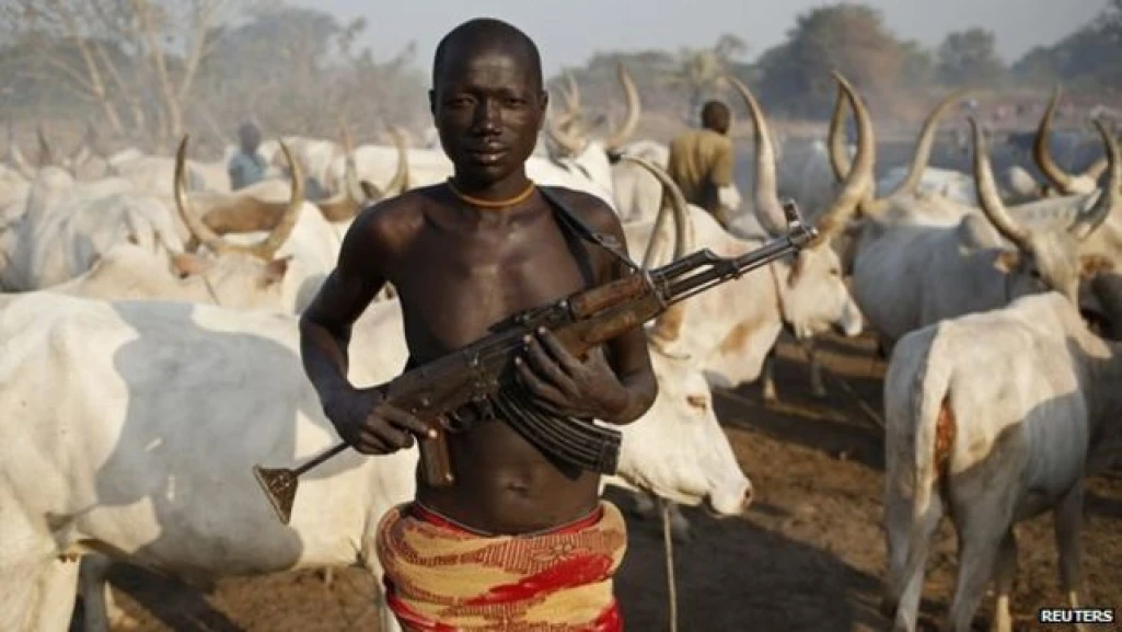 Raiders kill herder, drives away 150 heads of cattle in Kapoeta North