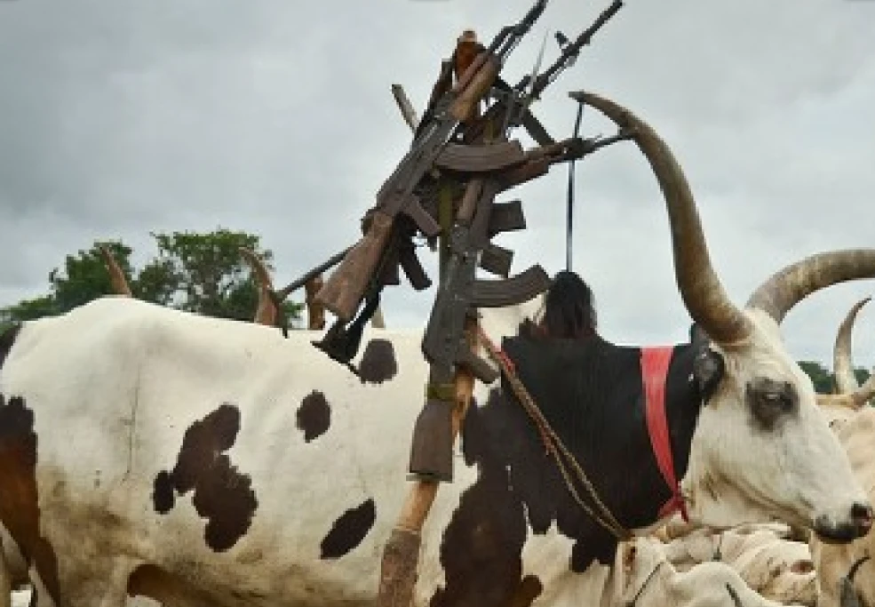 Pibor, Jonglei leaders agree to forceful disarmament