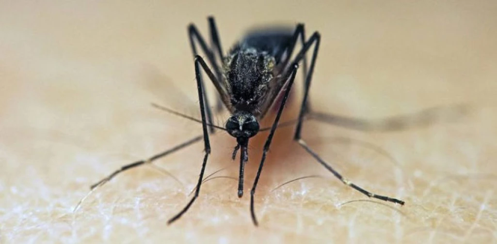 Malaria kills two children in Aweil West