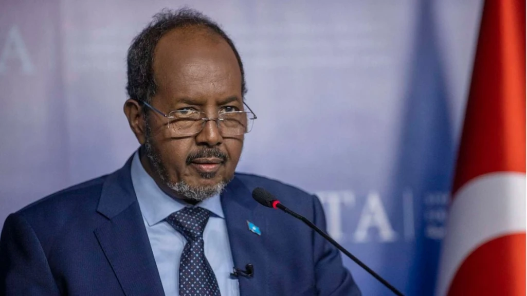 Somalia president’s son causes fatal accident in Turkey