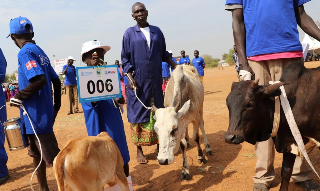 State wide livestock show and agriculture exhibition kickoff in Kuajok