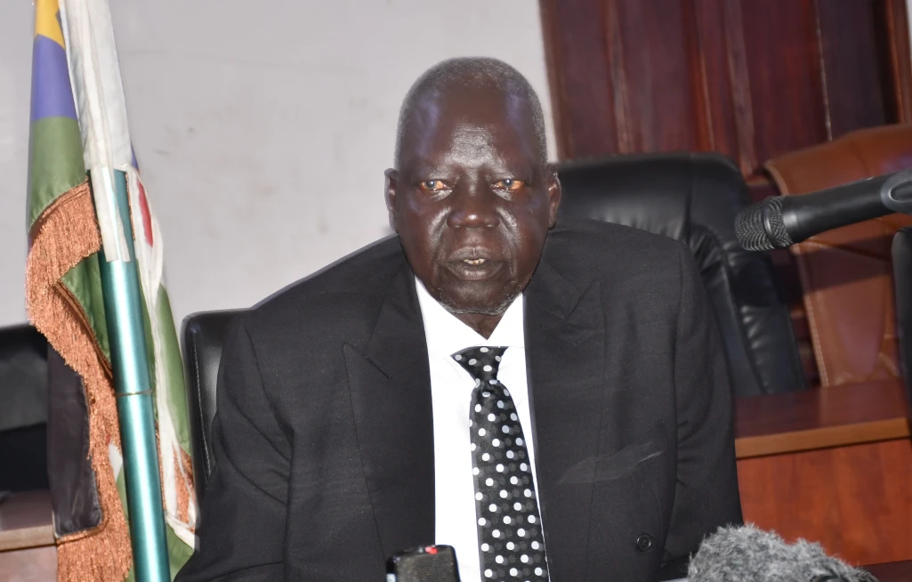 'Absurd', minister describes UN experts' report on human rights violations
