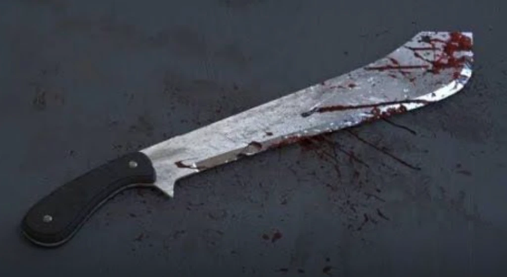 'Drunk' police officer kills his mother