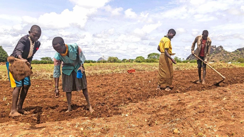 Uganda’s fight against cattle raiders dividing Karamoja people