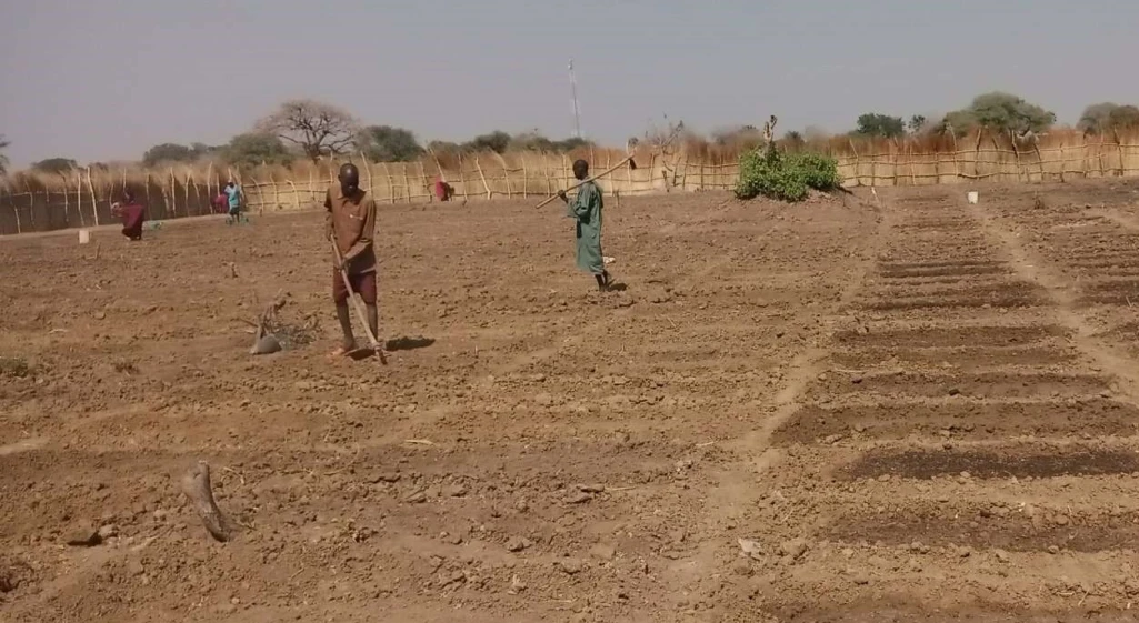 Landmine incident threatens farming in Aweil East