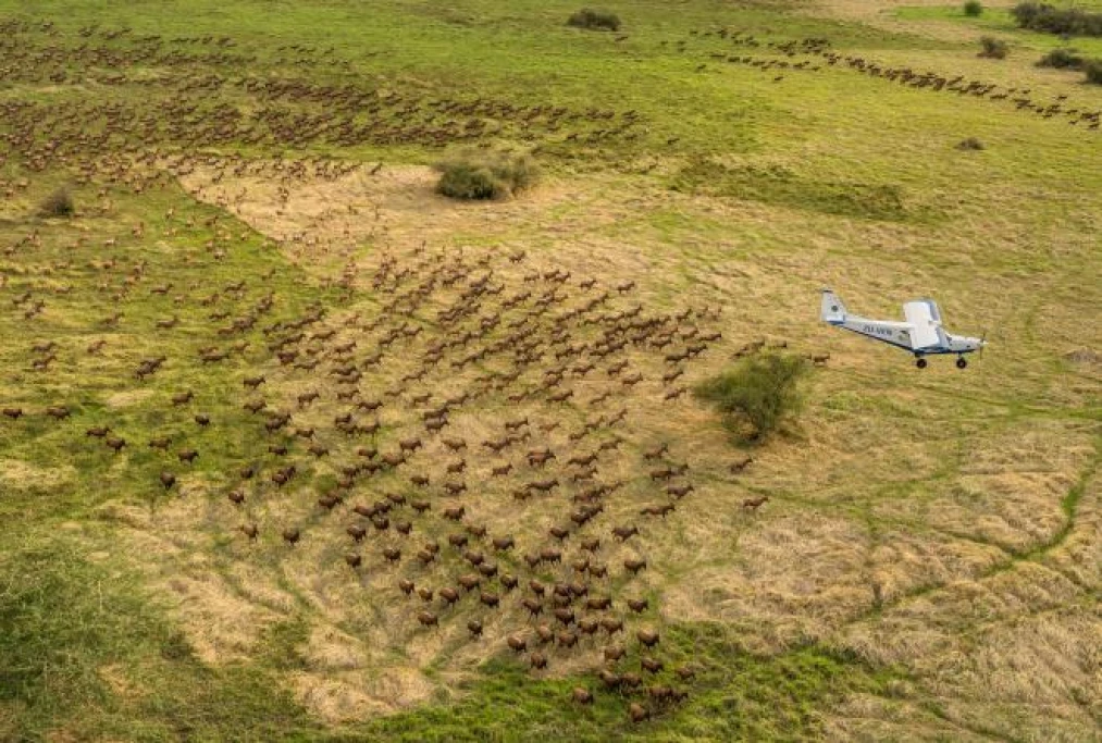 S. Sudan has the highest wildlife migration, Kiir announces