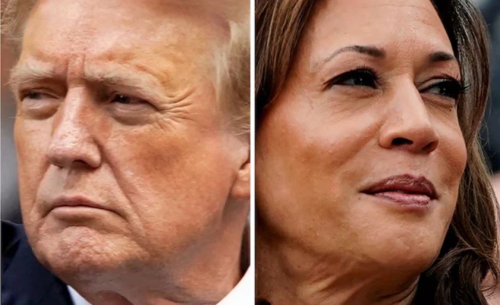 Workers at several large US tech companies overwhelmingly back Kamala Harris, data shows