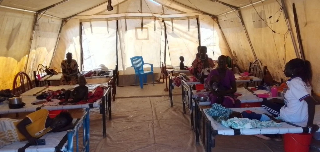 Cholera kills 7 in NBGS