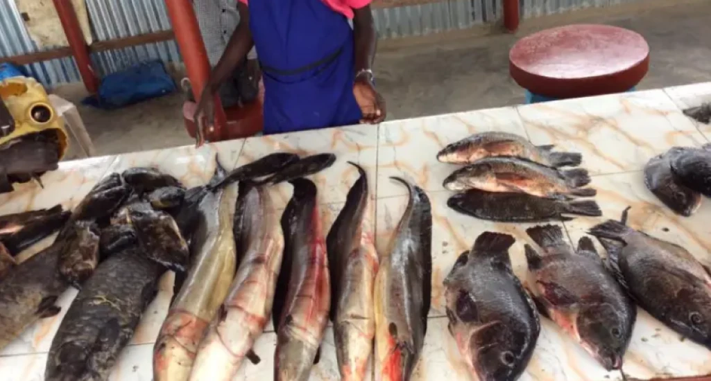 Minister calls for lower taxes on women’s small businesses