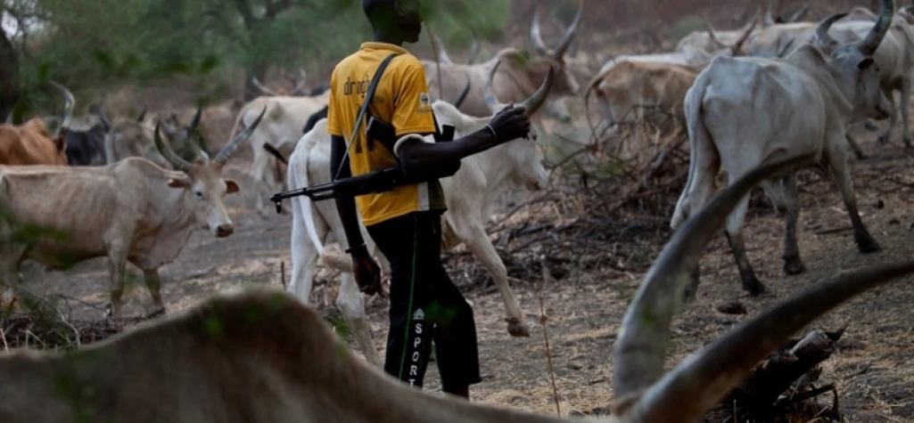 Two people wounded, hundreds of cattle stolen in Biemnhom County