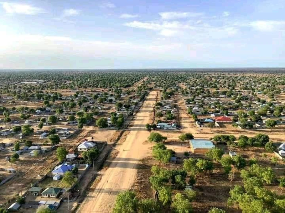 Gov’t orders crackdown on Red Belt militias in Jonglei