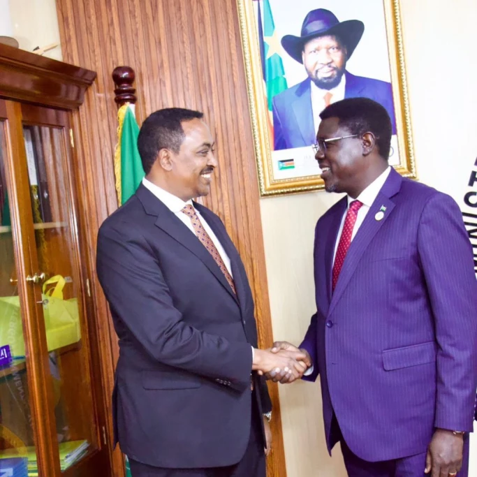 IGAD chief engages South Sudan leaders on peace deal