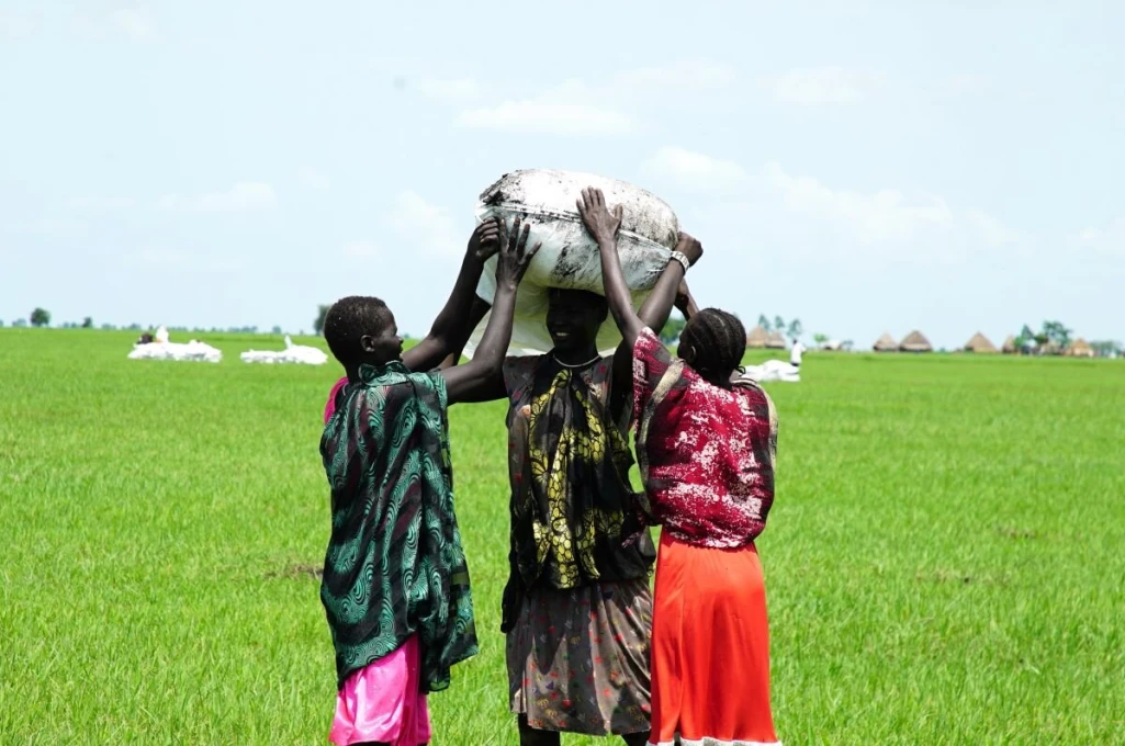 WFP starts food airdrops in Ulang and Nasir