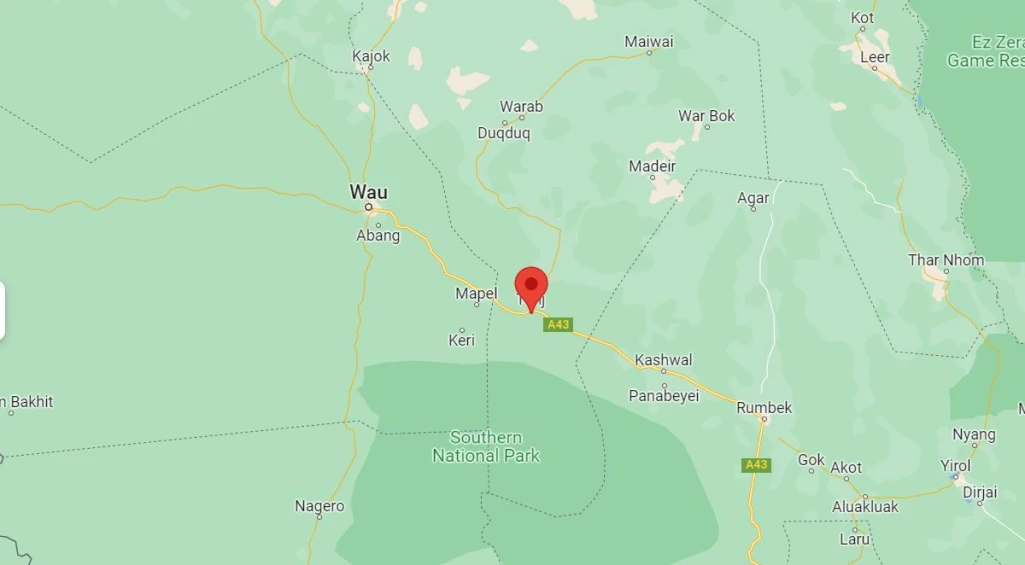 Body of man found dumped in Tonj South forest