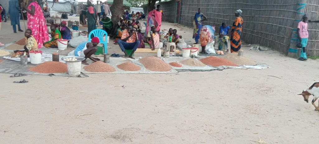 Leer residents protest new SSP 20,000 sorghum tax