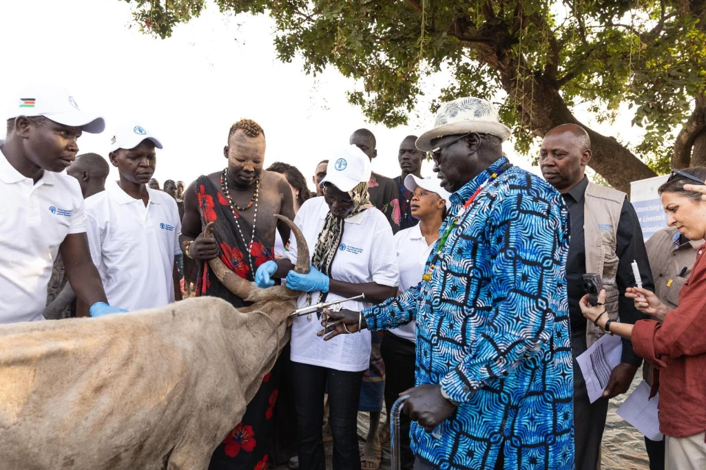 Gov’t, FAO launch vaccination for 10 million livestock