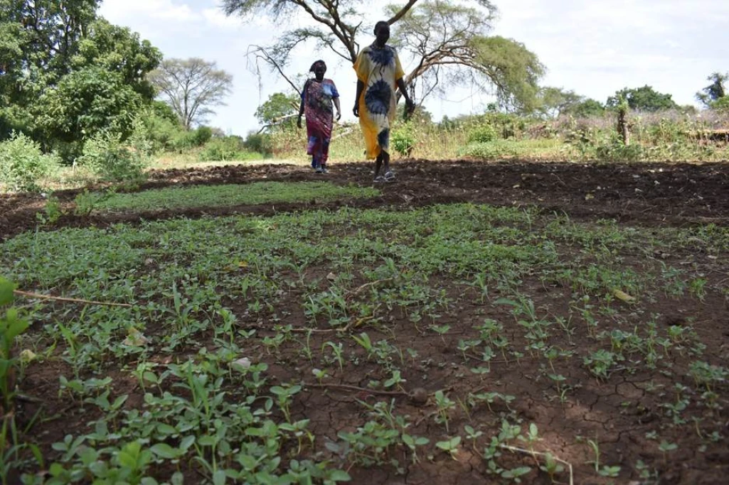 South Sudan among 11 countries in UN $50 million El Niño funding