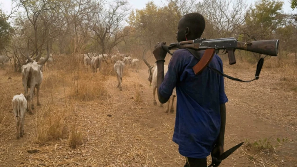 Three people wounded and 600 cattle raided in Jonglei State