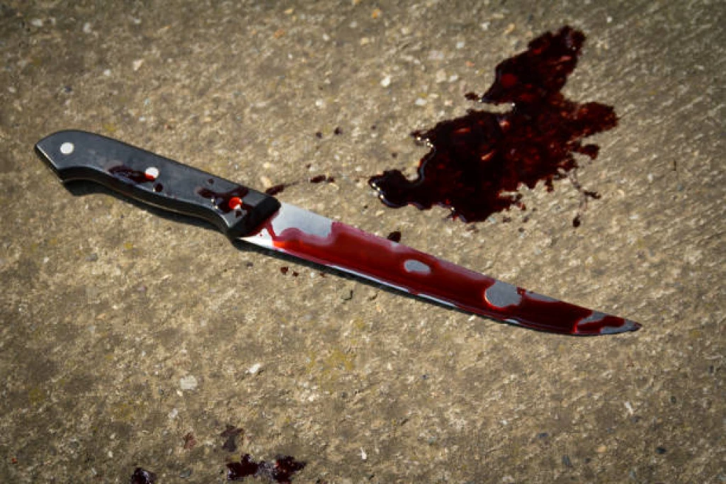 Mother who slit throats of her two daughters arrested