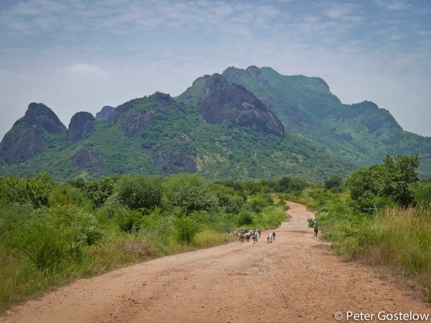 Budi traders live in fear after killing of Sudanese businessman - The ...