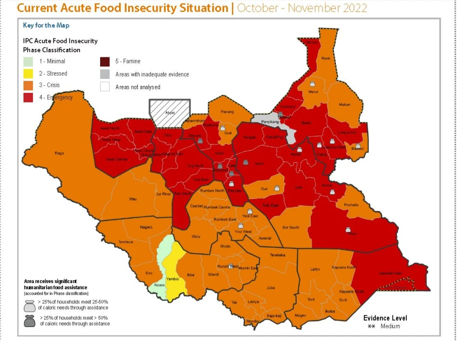 About 6.6 million S.Sudanese hit by high levels of acute food insecurity -new report