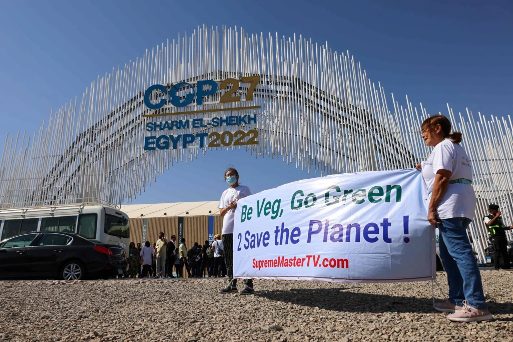 COP27: Africa needs world’s money to fight climate change