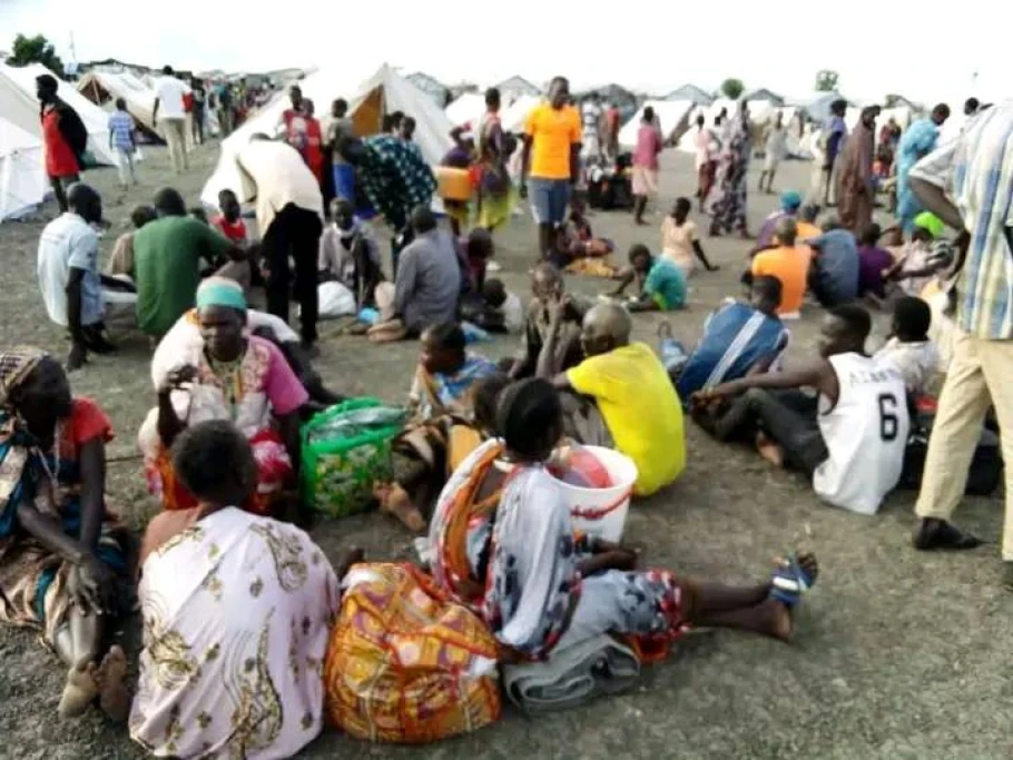Number of the displaced in Upper Nile clashes rises to 40,000 – UNICEF