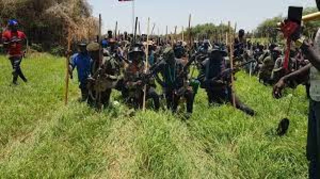 56 people killed, 17 injured in Pibor clashes