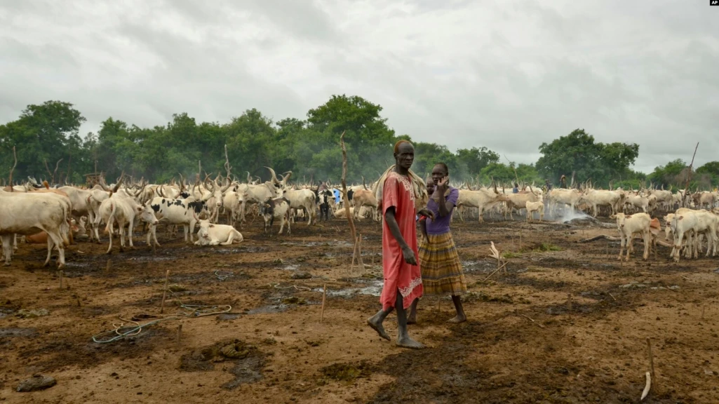 Tension mounts between farmers & herders in Magwi county