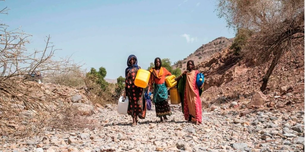 Horn of Africa on track for sixth failed rainy season: climate body